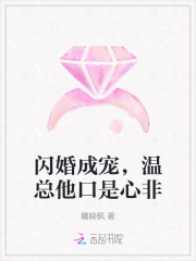 闪婚成宠，温总他口是心非