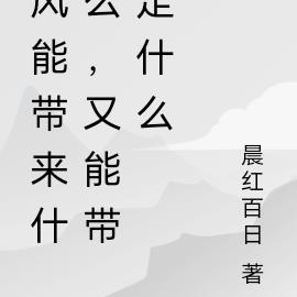 风能带来什么，又能带走什么