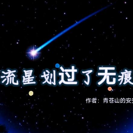 流星划过了无痕