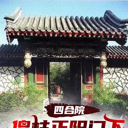 四合院：傻柱正阳门下踢了秦淮茹