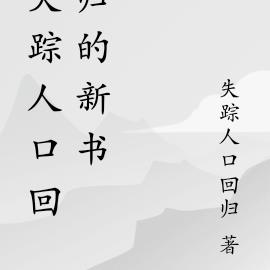 失踪人口回归的新书